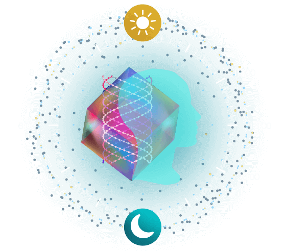 Biorythm